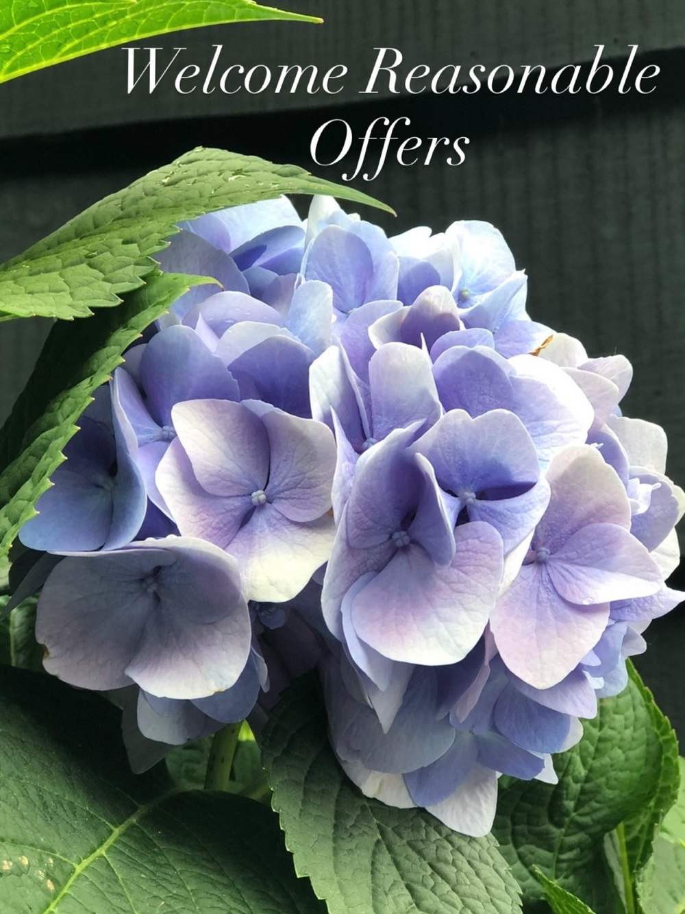 Welcome Reasonable Offers
